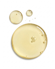Camellia Oil – Softness & Silky Finish for Normal to Combination Skin and Fine Hair