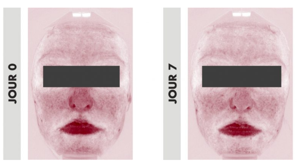 Face cream for combination to oily skin - Raspberry