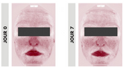 Face cream for combination to oily skin - Raspberry